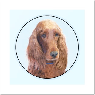 Irish Setter Posters and Art